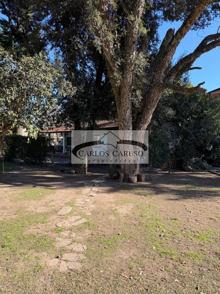 Casa Quinta en Venta- Mendoza y Solis