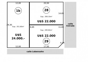 Lote en Venta-Calle Lebensohn y Estrada